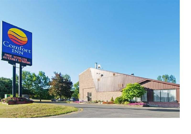 Motel Ramada By Wyndham Kingston Exteriér fotografie